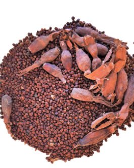 Mondongo / Maniguette / Souck