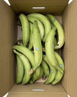 Carton de plantain vert