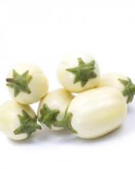 Aubergine