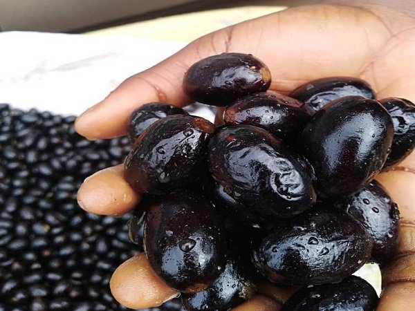 Fruits Noir – Image 2