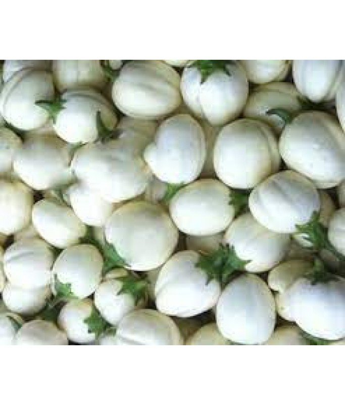 Aubergine – Image 2