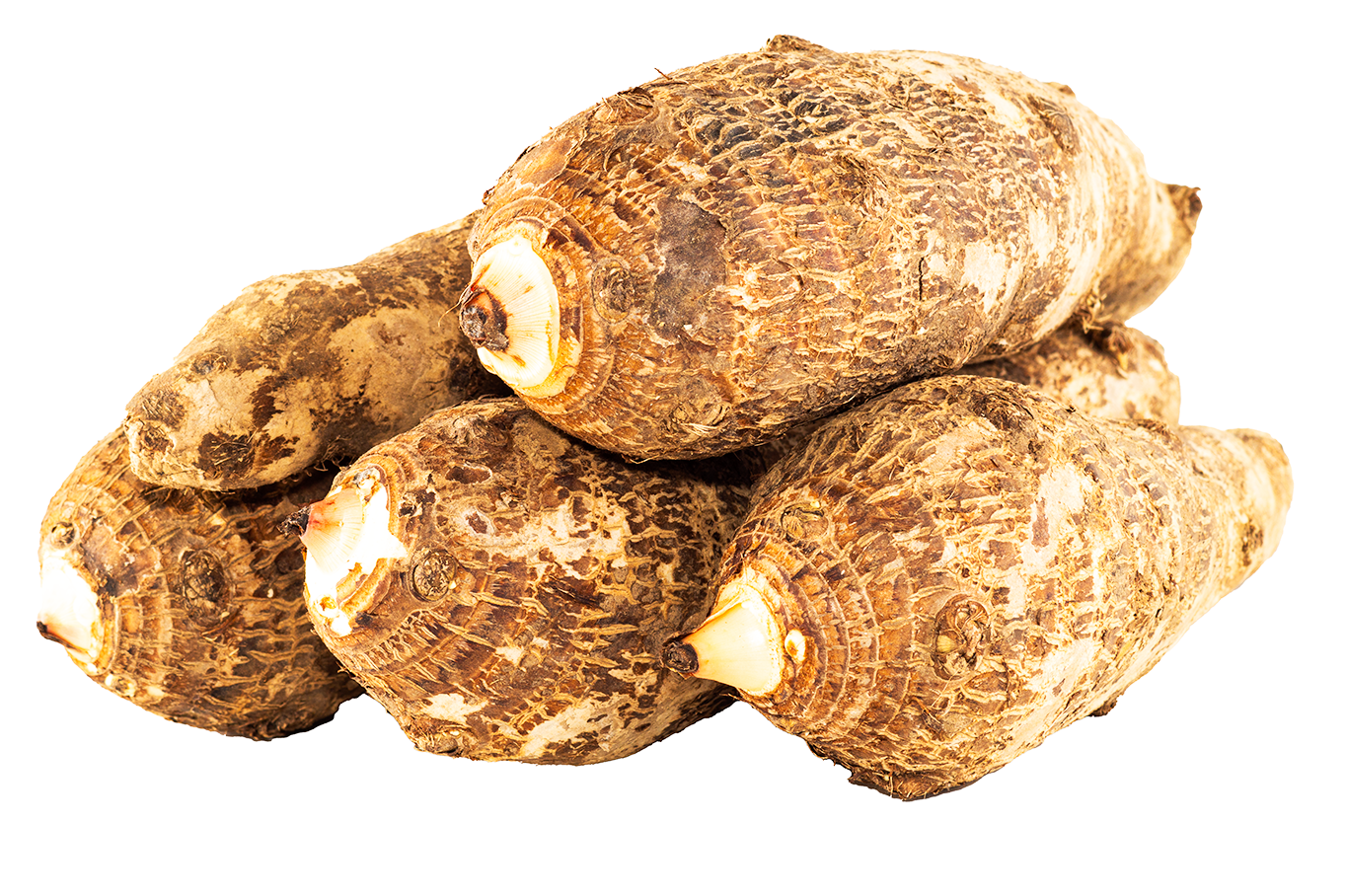 Macabo blanc - White cocoyam – Image 3