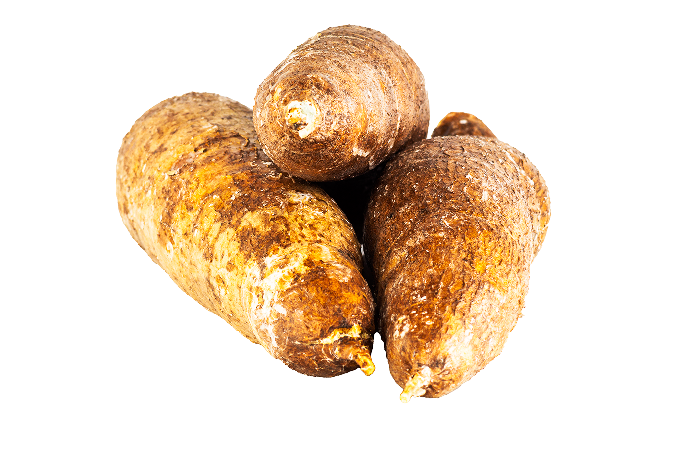 Tubercules de Manioc 1Kg – Image 2