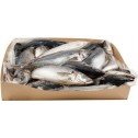 poisson Makerel 1kg – Image 2