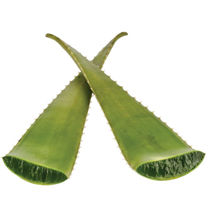 Aloé Vera