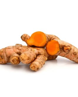 Curcuma