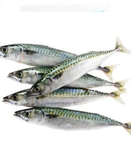 poisson Makerel 1kg