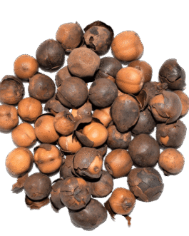 Épice de Rondelle 50g